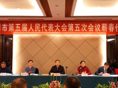 刘雪荣参加蕲春代表团审议：坚决打赢三大攻坚战 做大做强蕲艾品牌  