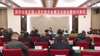 蕲春代表团讨论市人大常委会和“两院”工作报告