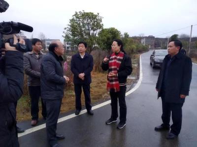 邱丽新到彭思镇调研乡村振兴工作