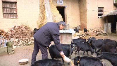 刘理清：赶着牛羊奔富路