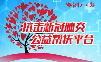 请扩散！湖北日报抗击新冠肺炎公益帮扶平台开通了