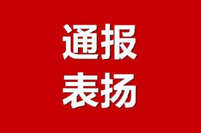 关于机关企事业单位及在职党员干部下沉社区（小区）抓好疫情防控工作的表扬通报