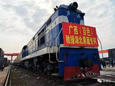 “百色一号”果蔬专列，正向黄冈驶来！