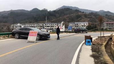 檀林镇河东村支部书记抗疫日记，很基层很真实……