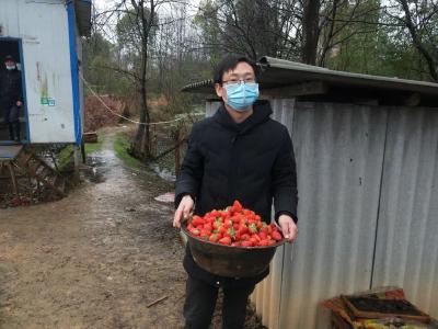 千余斤草莓送往一线，这件事很暖心