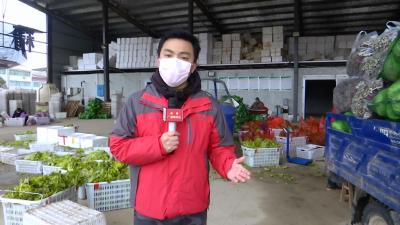 蕲之阳保障市民的“菜篮子”