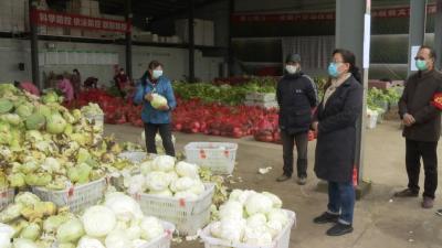 视频| 赵少莲：因地制宜 精准施策 统筹抓好疫情防控和春耕生产工作