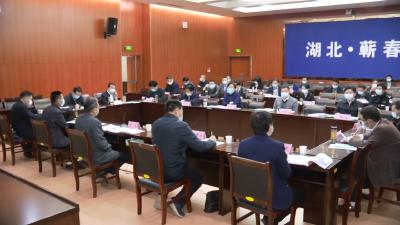 视频| 省疫情防控指挥部督导组肯定蕲春项目开工和复工复产工作成效