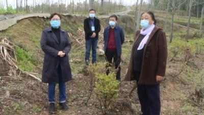 赵少莲：坚持疫情防控和脱贫攻坚两手抓 两不误