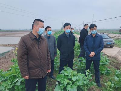 张友启、詹才红调研指导春季农业生产工作