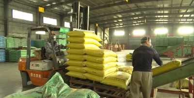 视频| 一批企业有序复工复产