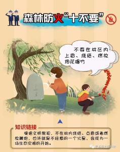 关于进一步严明森林防火工作纪律的通知