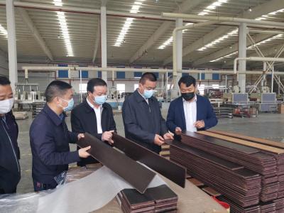 视频| 詹才红：高效有序推进企业和项目复工复产