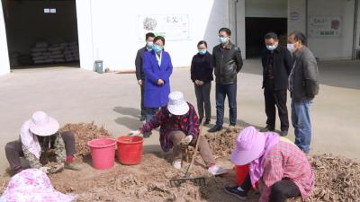 视频| 赵少莲：坚持疫情防控和脱贫攻坚两手抓两不误