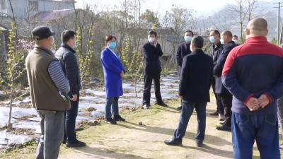 视频| 赵少莲：突出产业扶贫 降低疫情影响