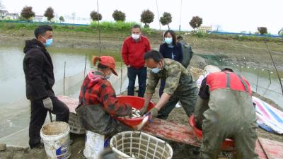 视频| 县农业农村局破解水产品滞销难题