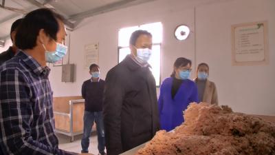 视频| 刘雪荣检查督导脱贫攻坚农业生产企业复工复产