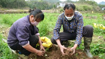 视频| “四进”攻坚行动力保疫情防控复产复市两不误