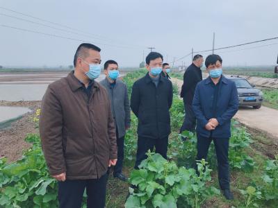视频| 张友启 詹才红调研指导春季农业生产工作