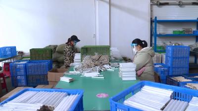 视频| 詹才红：在严防严控前提下复工复产 最大限度降低疫情对经济影响