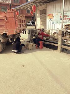 吴文生：  坚守“疫”线保安全   