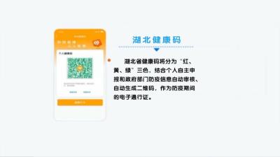 视频| “湖北健康码” 应用须知