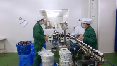 视频| 县委办为李时珍医药集团复工复产打通“绿色通道”