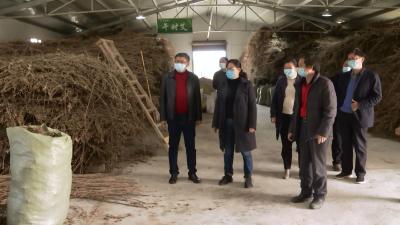 视频| 赵少莲：疫情防控和脱贫攻坚两手抓两不误