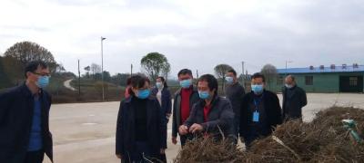 株林镇：全力抓好疫情防控 决战决胜脱贫攻坚