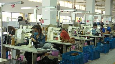 视频| 蕲春经济开发区71家投产企业复工复产