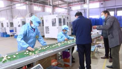 视频| 乡镇部门联动 全面铺开“进企业 进项目 进农村 进社区”攻坚行动