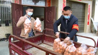 视频| 各地多措并举破解农副土特产品滞销难题