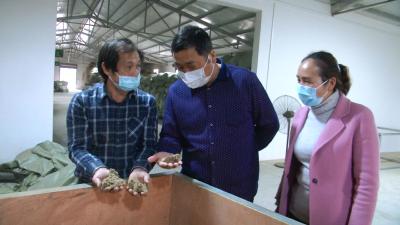 视频| 株林镇抢抓农时春耕备耕