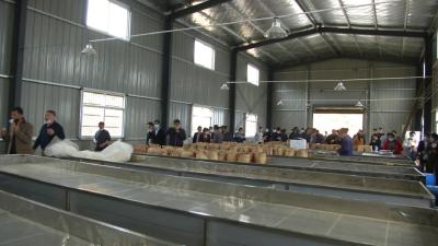 视频丨刘河镇加速推进“六个一”项目建设