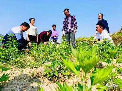 视频丨县融媒体中心“四进”服务精准到点到村
