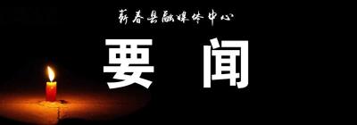 视频| 向桥乡抓实森林防火工作