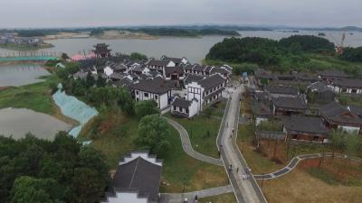 视频| 赵少莲：紧盯目标合力推进 掀起李时珍文化旅游区建设热潮