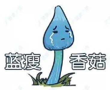 香菇多可爱 黄冈广电记者喊你买