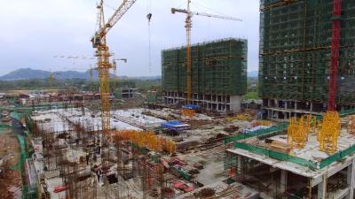 视频| 李时珍医药工业园区：“保姆式”服务 助力复工复产