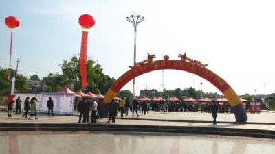 视频丨县劳动就业局送岗下乡