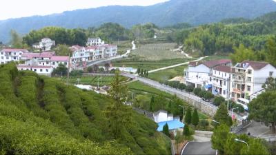  视频丨詹才红:做好规划引领 做活乡村旅游