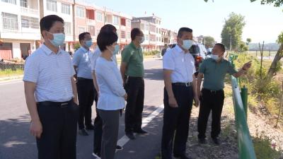 视频丨詹才红检查防汛备汛和水利设施除险加固工程