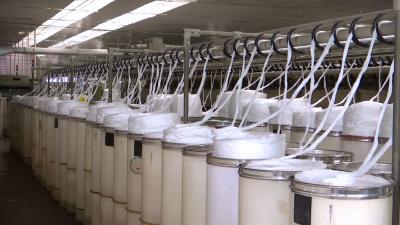 视频丨蕲州棉纺有限公司：危中寻机谋发展  千方百计稳就业