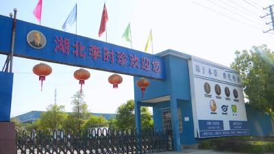 视频丨李时珍生物科技：疫情之下逆境突围