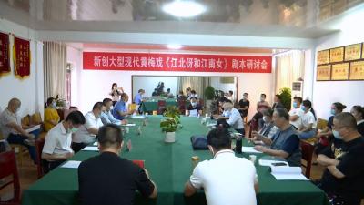 视频丨县黄梅戏剧团创作现代黄梅戏《江北伢和江南女》