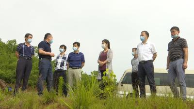 视频丨县人大常委会开展“一法一条例”执法检查