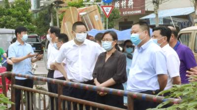 视频丨赵少莲调研督办省委巡视反馈问题整改