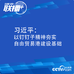 习近平：以钉钉子精神夯实自由贸易港建设基础