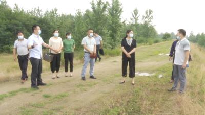 视频丨赵少莲回访调研“软弱涣散村”整改提升工作