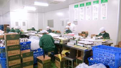 视频丨李时珍医药集团：优中选优  补货“职工爱心消费扶贫”